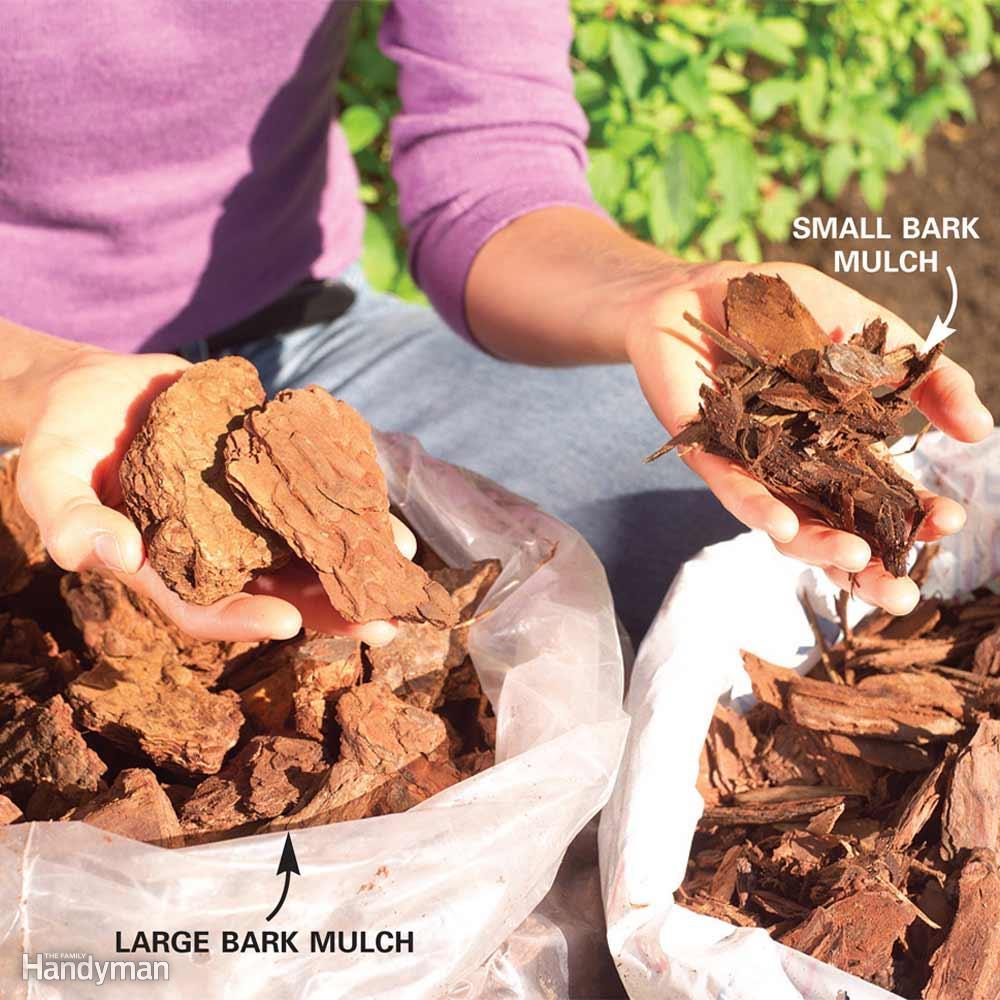 Which Organic Mulch Lasts the Longest?