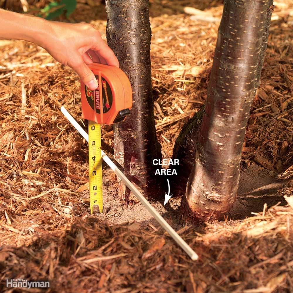 How Thick Should I Apply Organic Mulch?