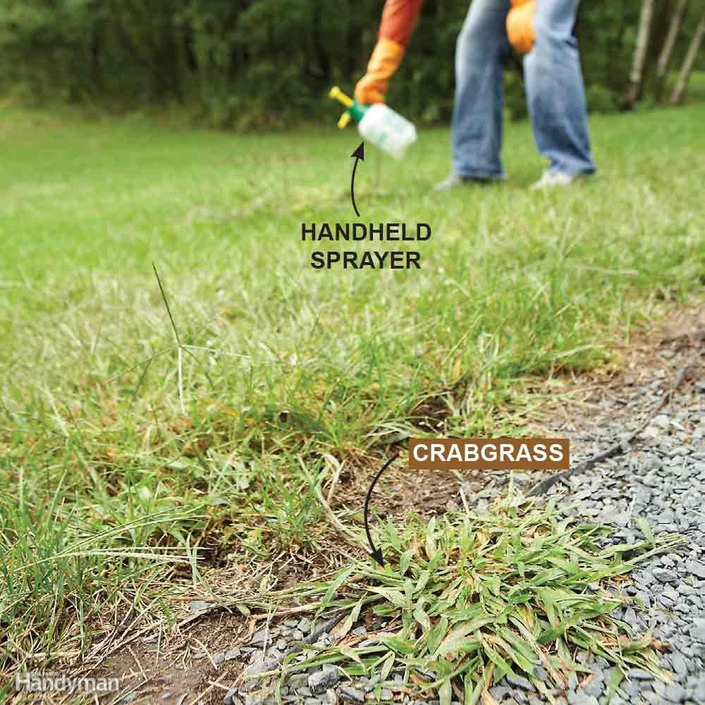 Kill Annual Grassy Weeds: Late Season