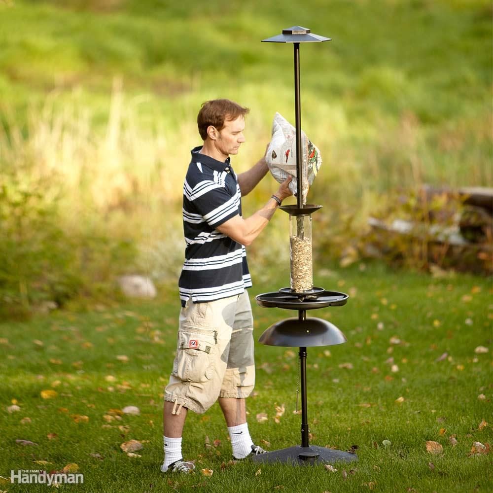 Fill Your Bird Feeders