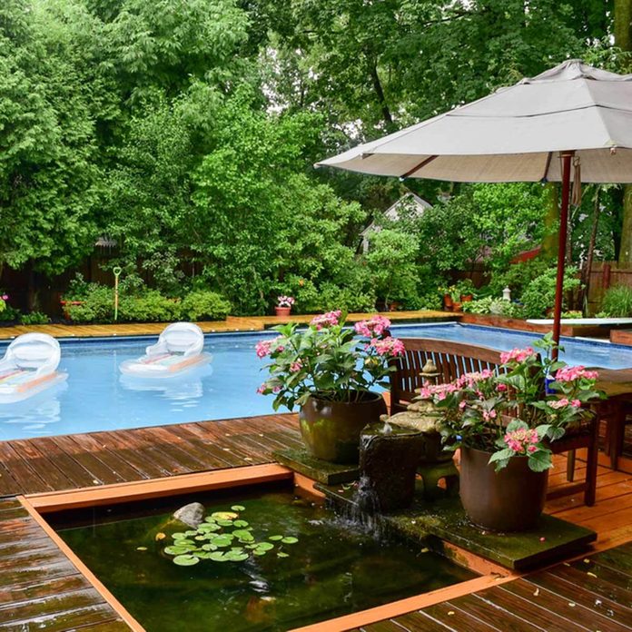 pond and pool