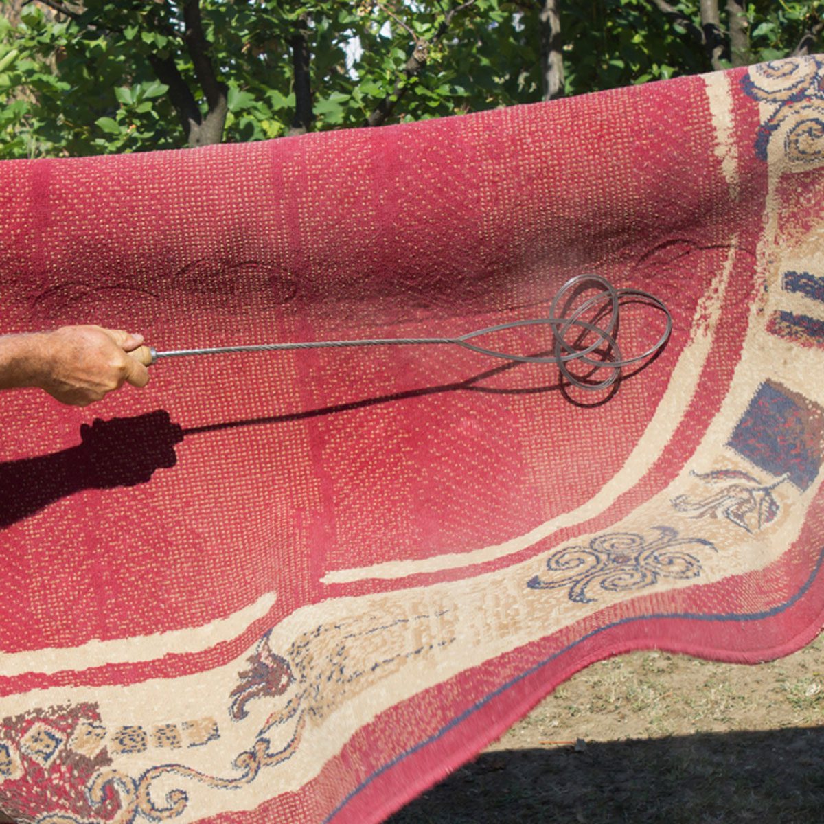 Deep Clean Rugs and Carpeting