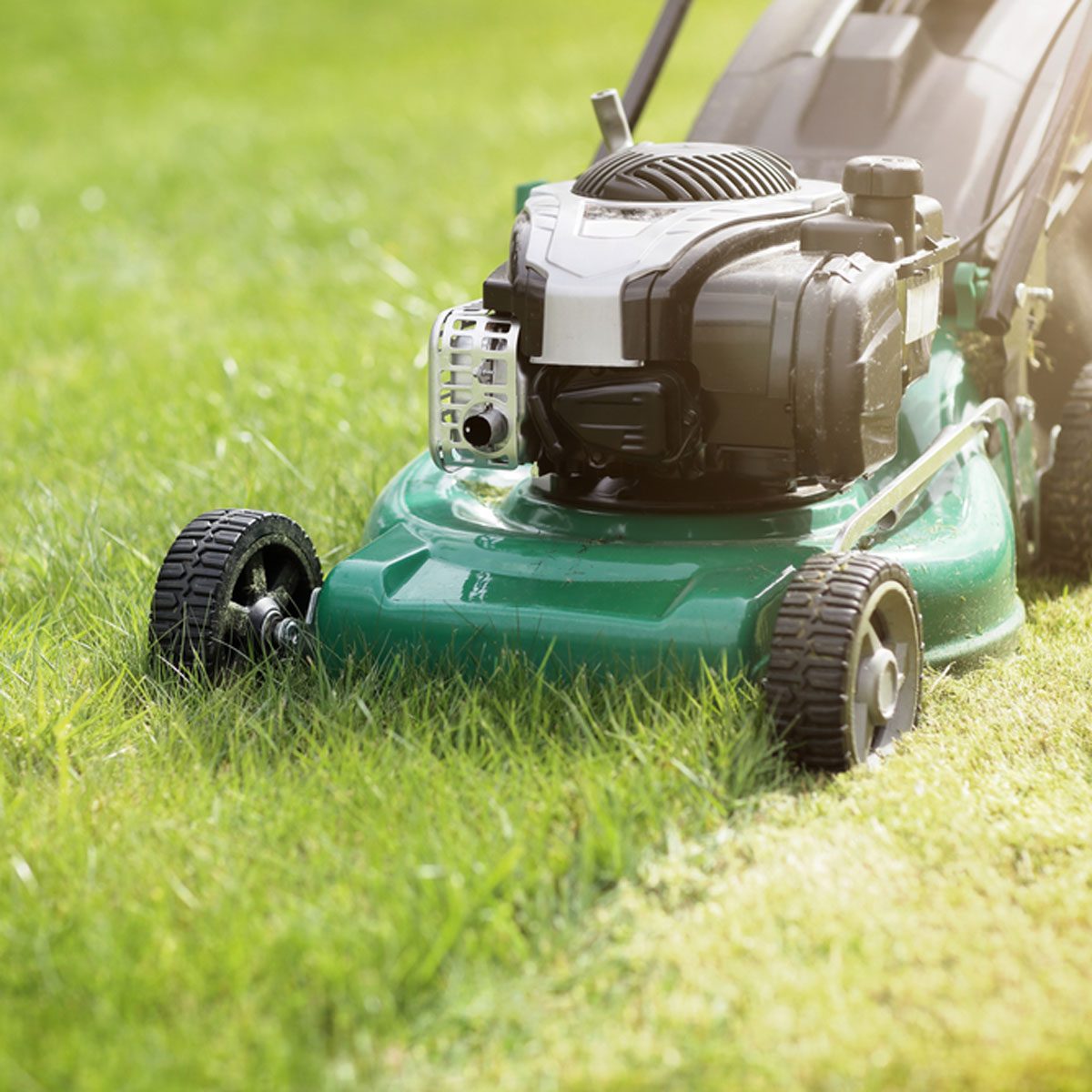 Cut Your Lawn Short