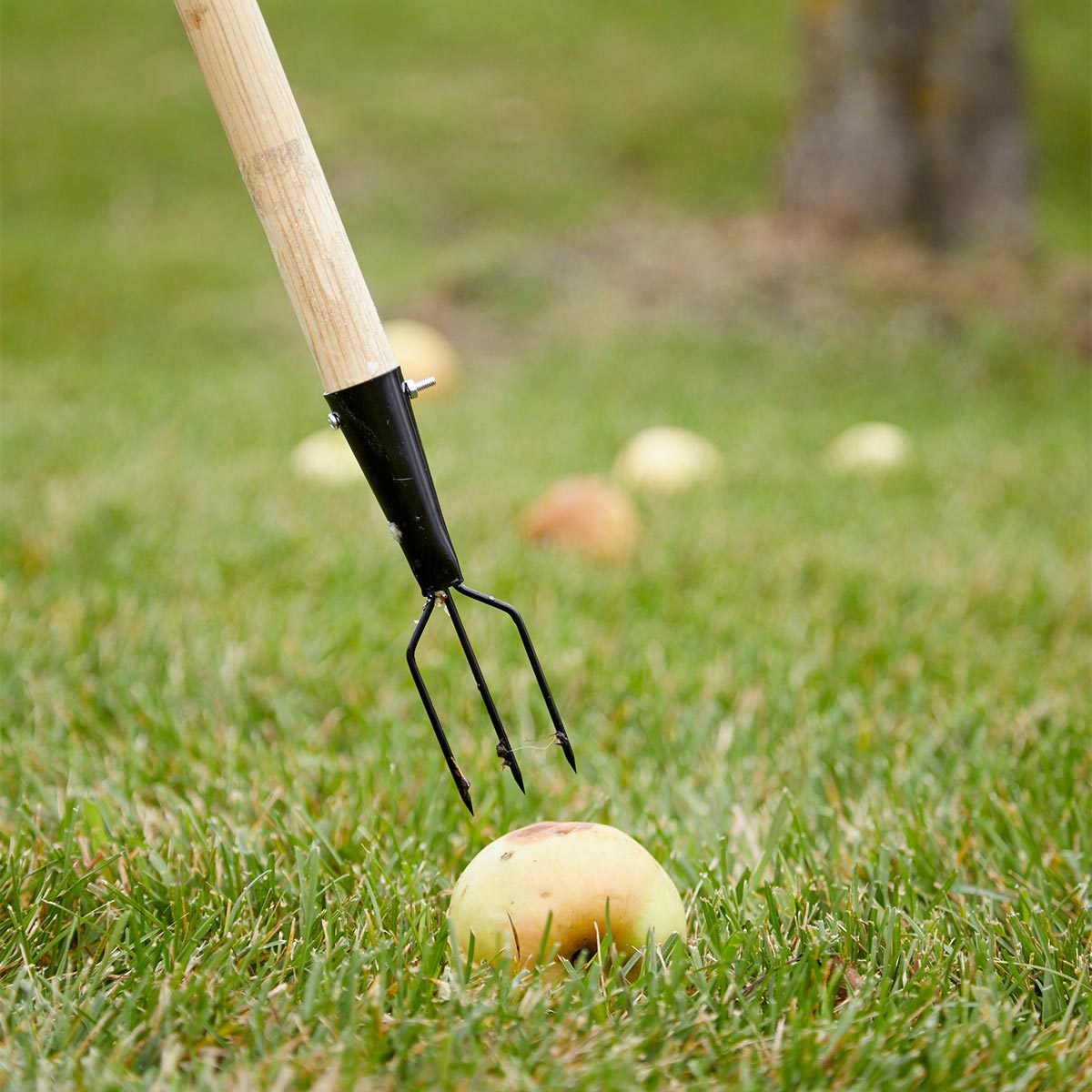 Easy Apple Spear