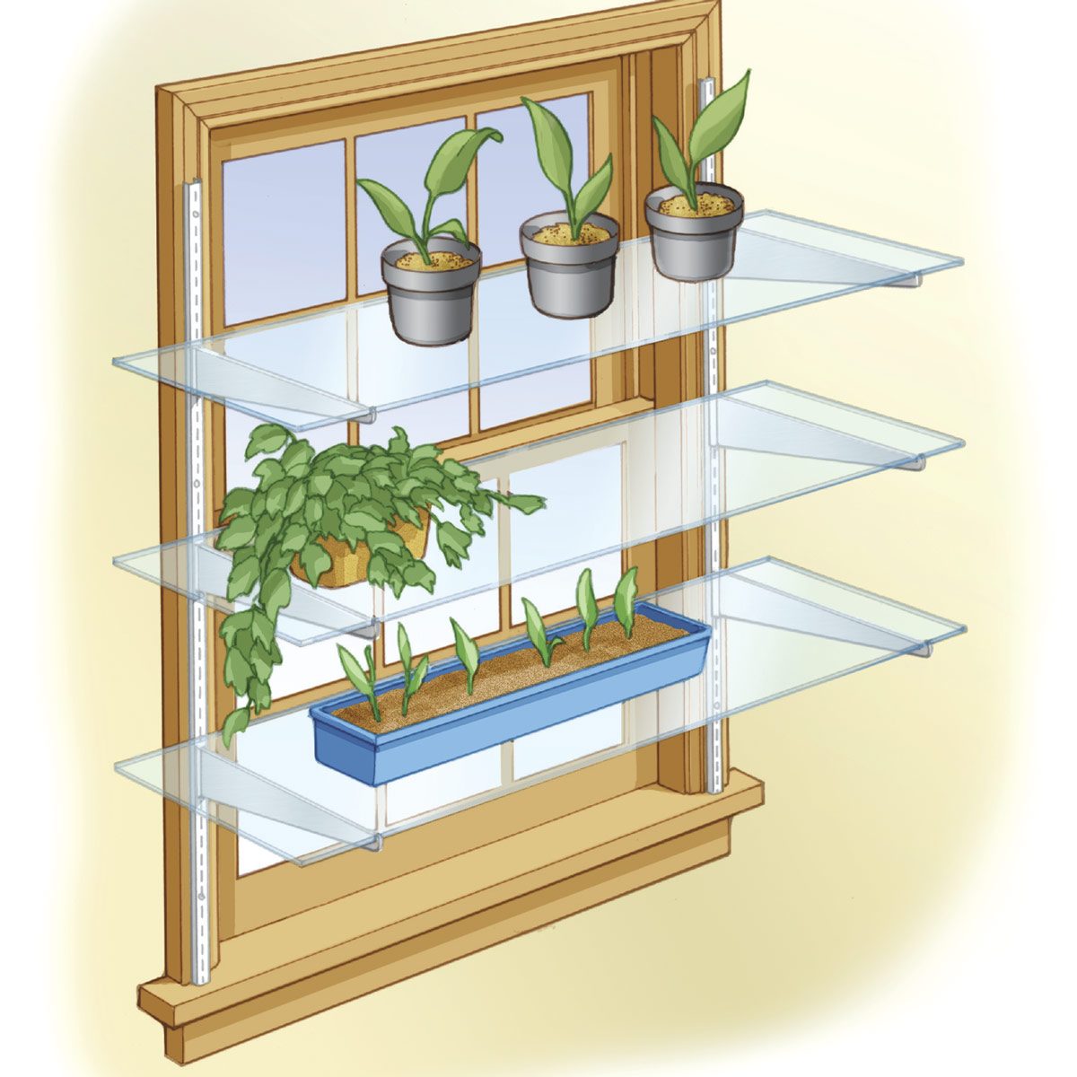 Plants