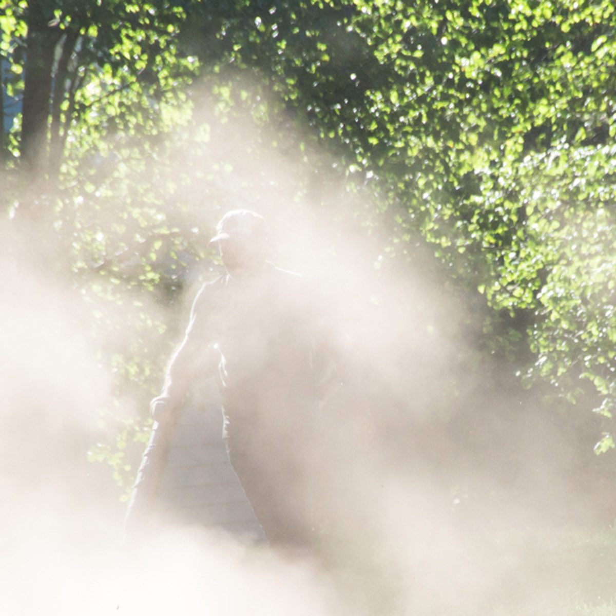 smoke