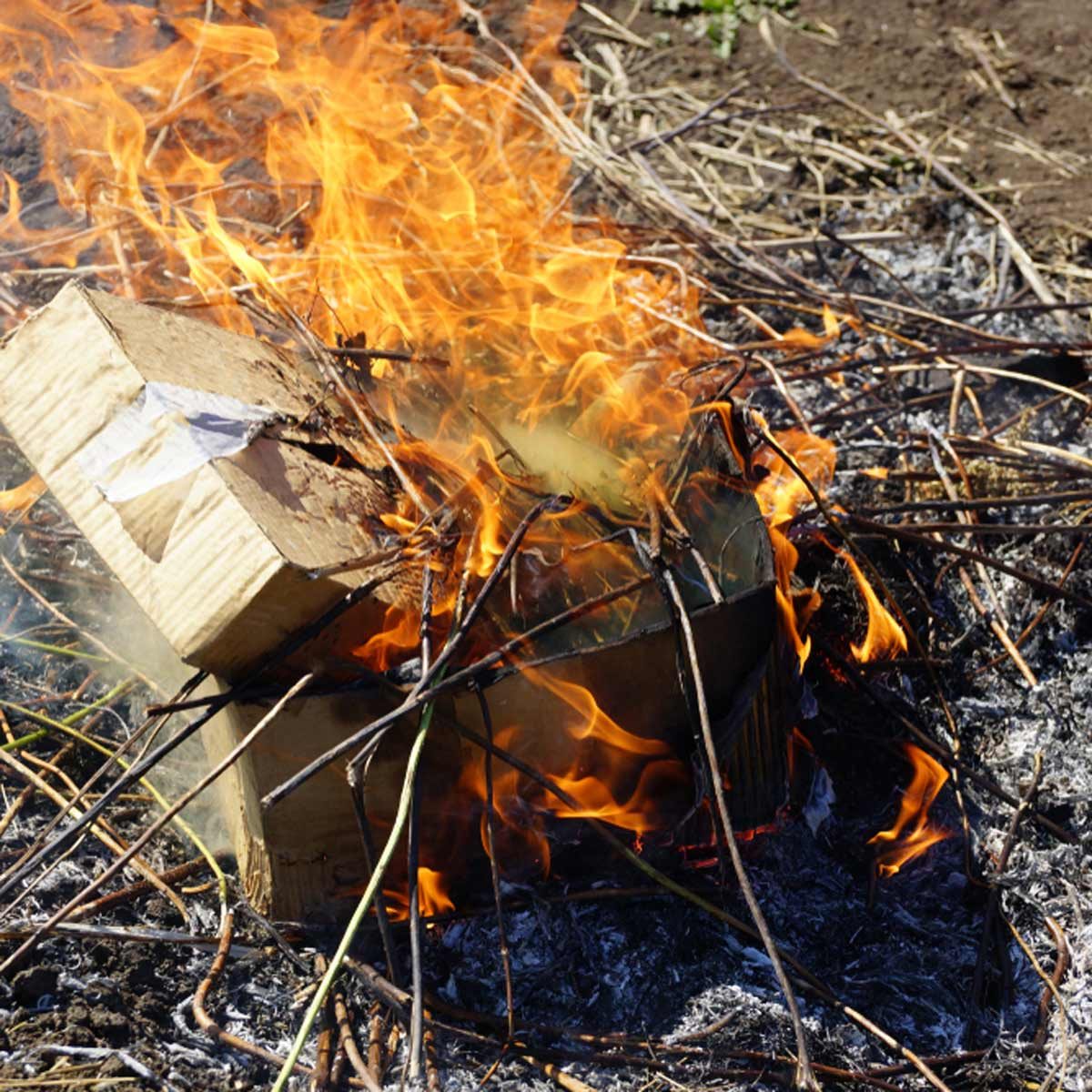 burn