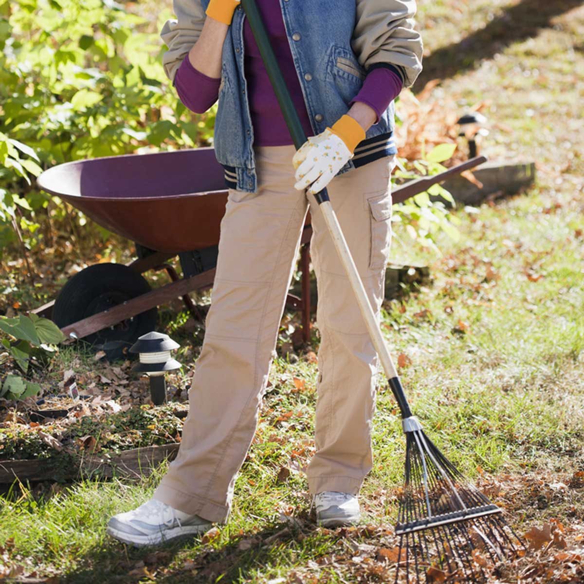 rake