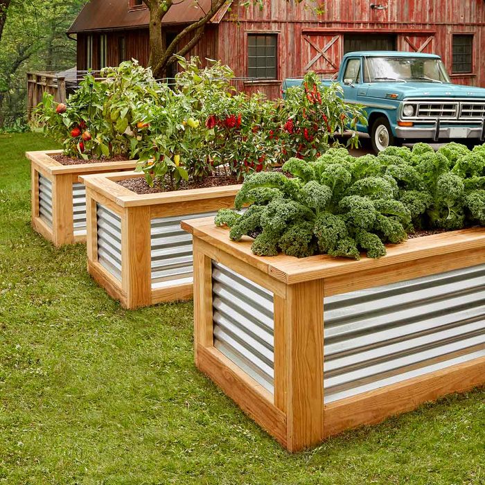 raised gardens