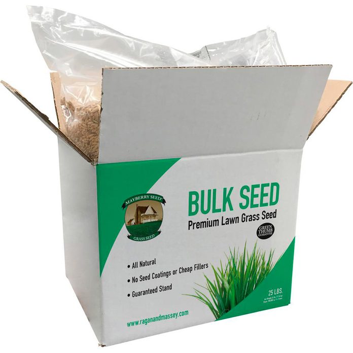 seed