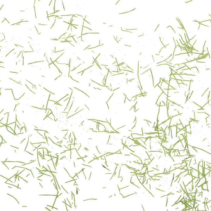 Clippings