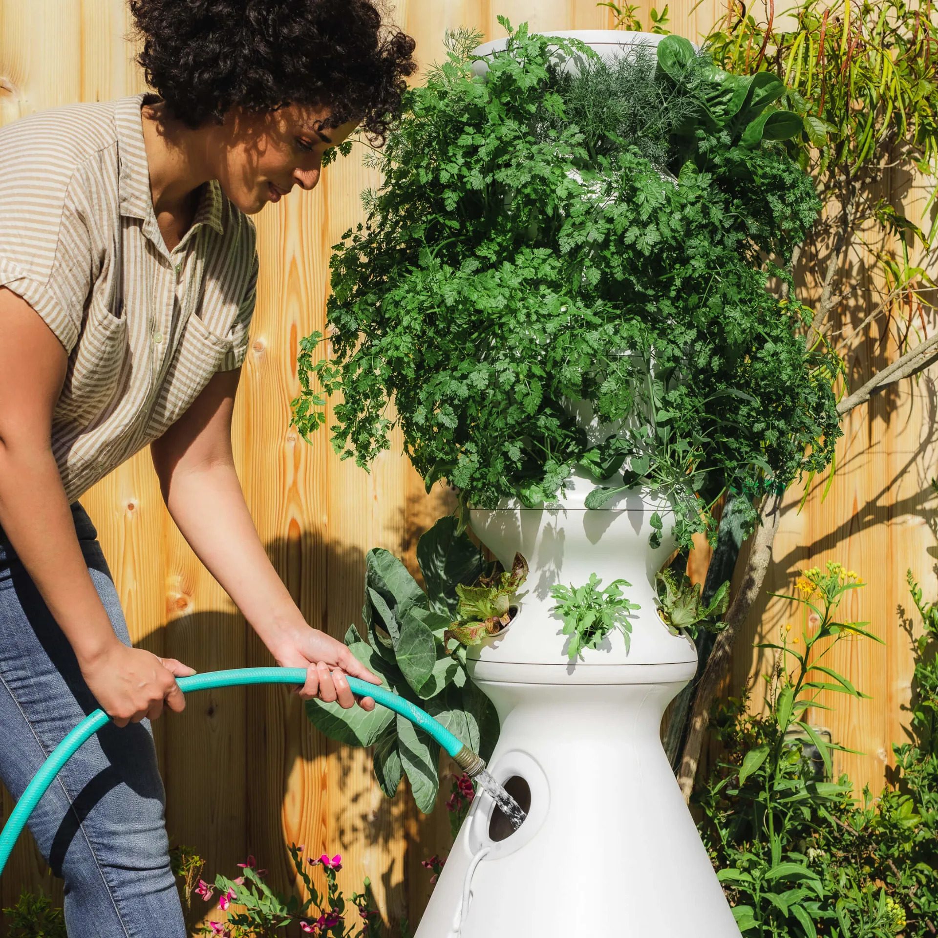 The Farmstand Grower Ecomm Via Lettucegrow.com