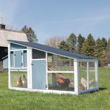 A chicken coop stands on green grass, containing chickens that are pecking around. The structure features a sloped roof and multiple secured openings.