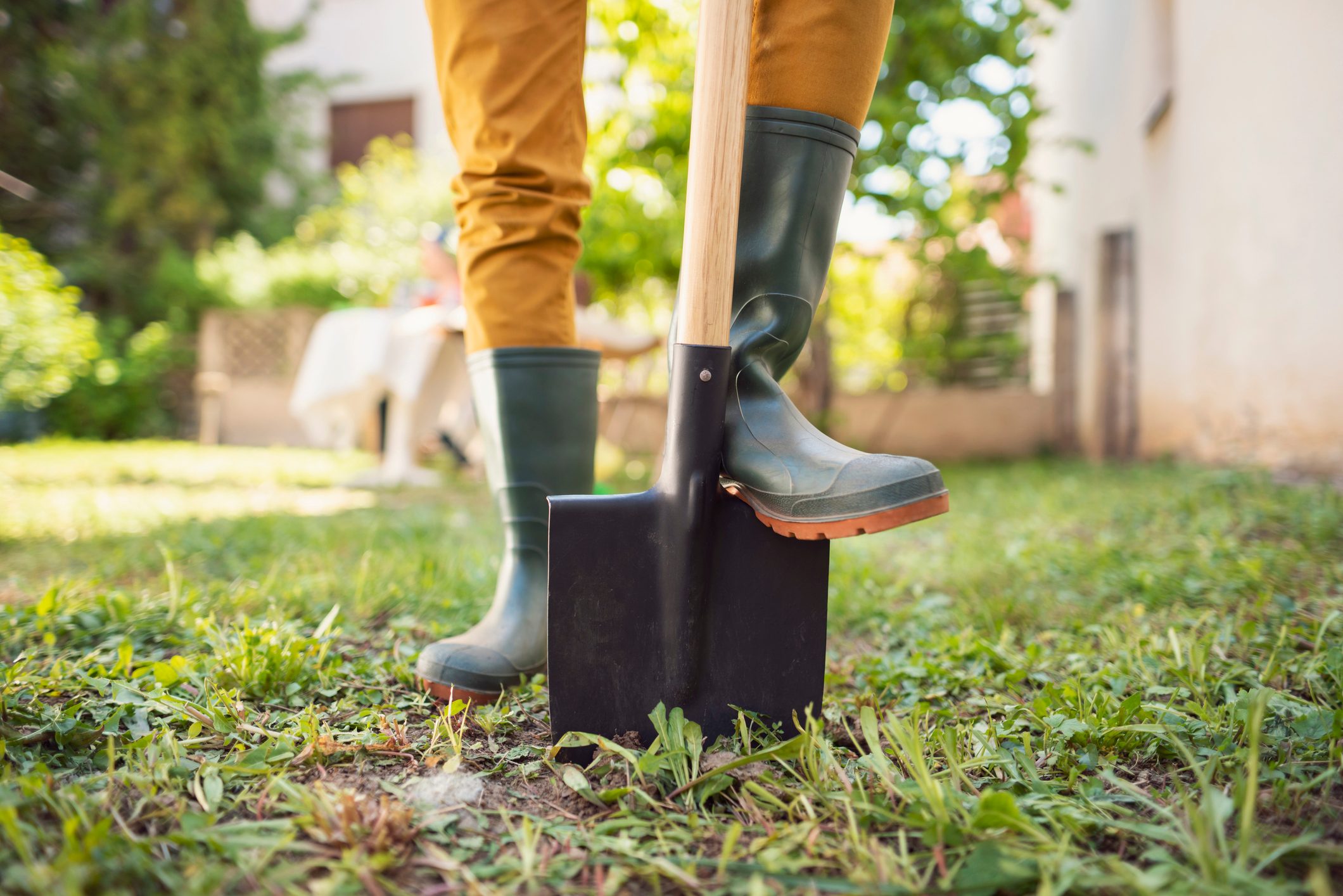 unrecognizable gardener standing in his backyard with shovel pinned to the ground, ready to dig a new garden
