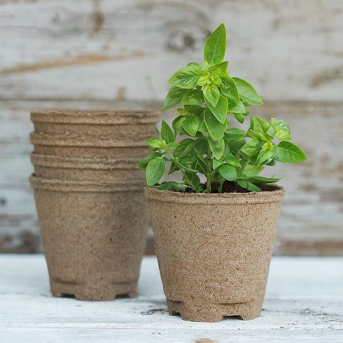 A small green plant grows in a textured, eco-friendly pot, positioned next to several empty pots on a wooden surface with a blurred background.