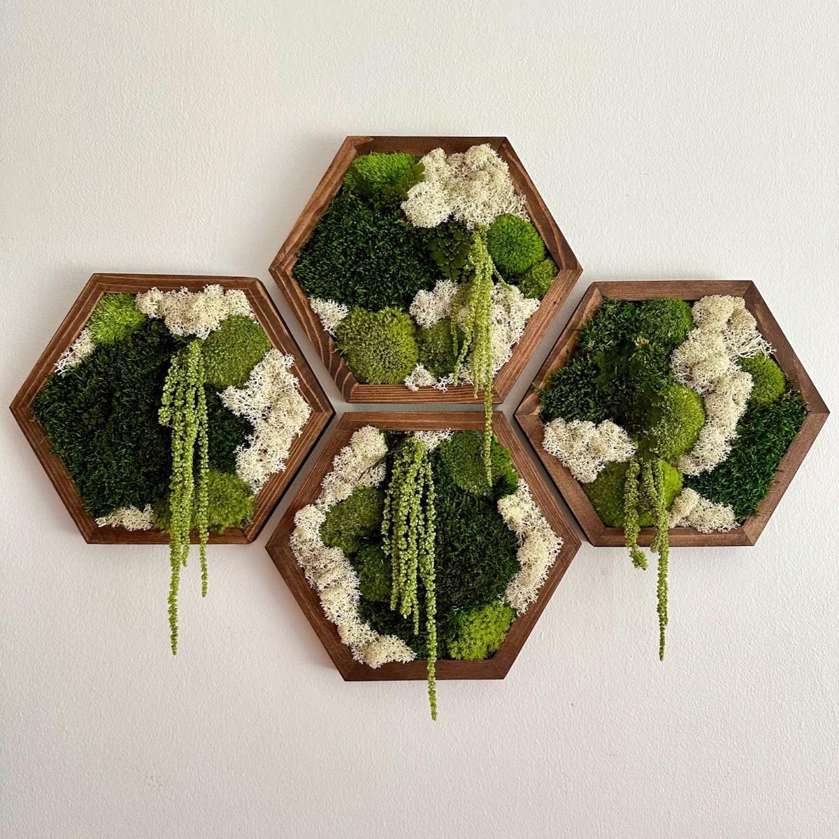 Preserved Moss Art