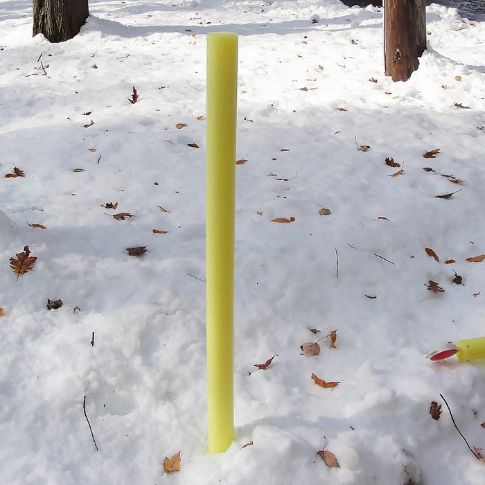A single yellow foam bat stands upright in a snowy landscape, surrounded by scattered brown leaves, with tree trunks visible in the background.