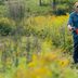 Field & Brush Mowers – Mowing Beyond the Lawn