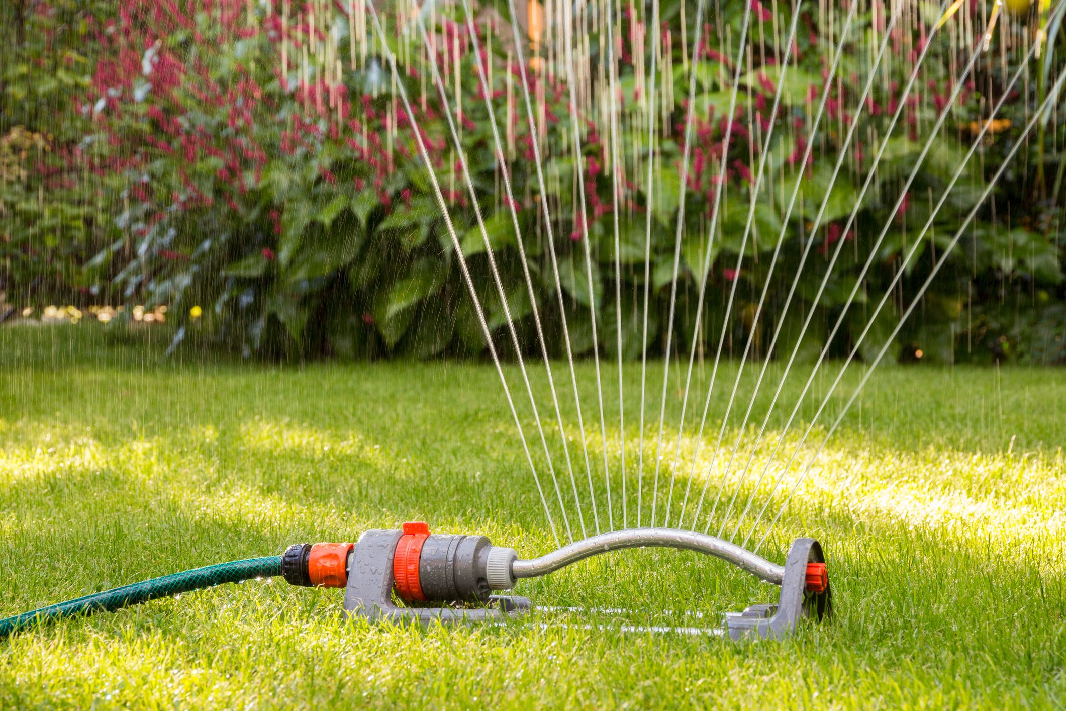 Lawn sprinkler